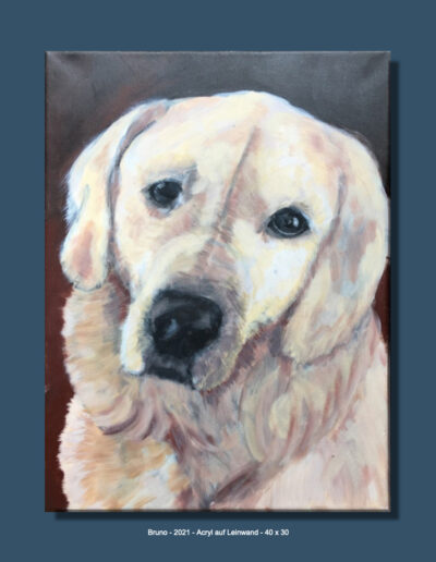Bruno - 2021 - Acryl auf Leinwand - 40 x 30