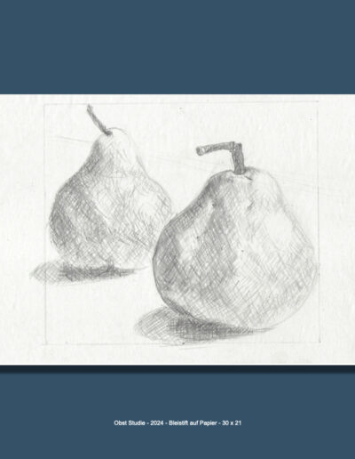Obst Studie